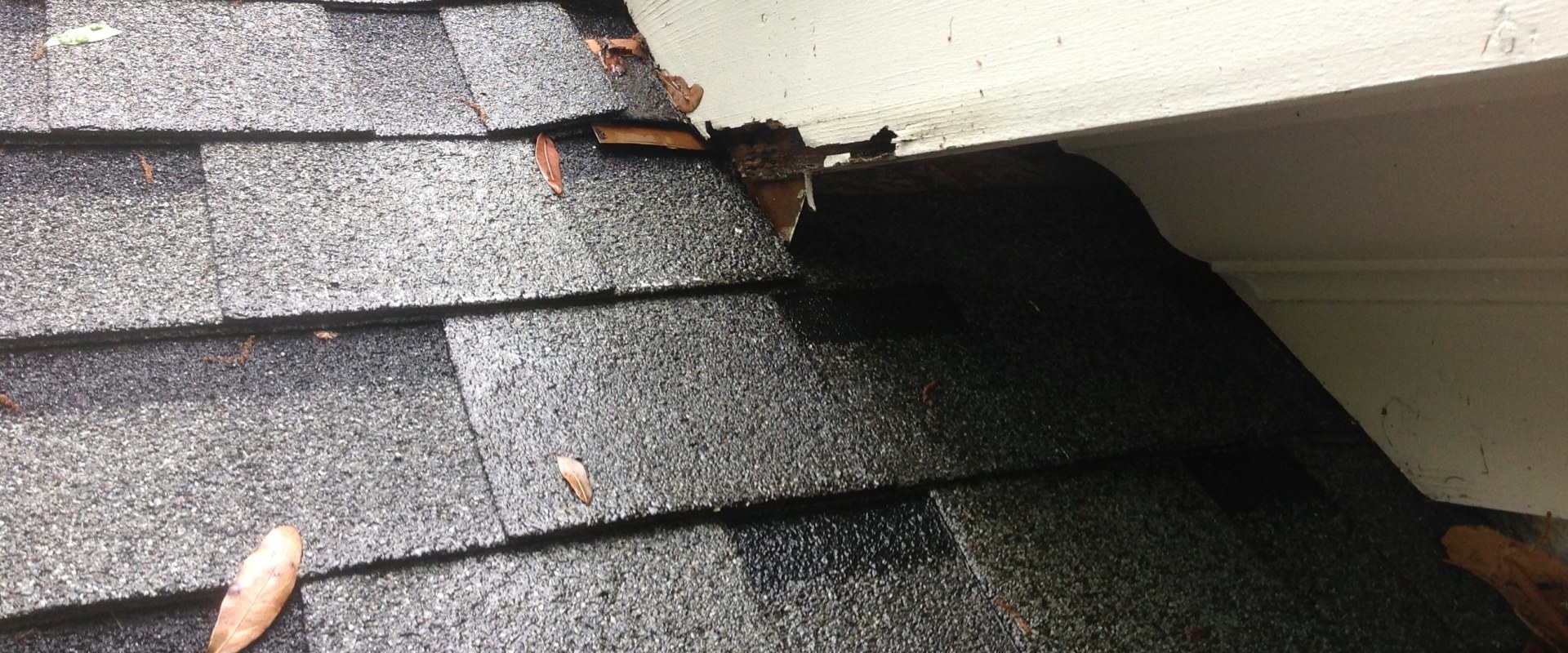 Replacing Damaged Shingles: A Comprehensive Guide for Finding the Right Roofing Contractor