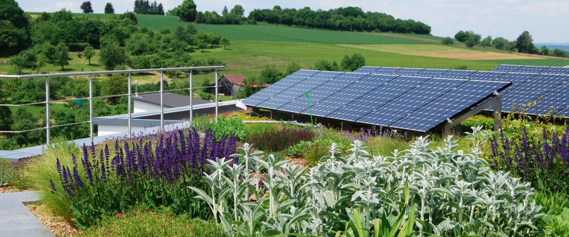 Solar Panel Roofs: The Ultimate Green Roofing Solution for Your Home or Business