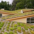 A Comprehensive Look at Vegetative Roofs for Home and Business