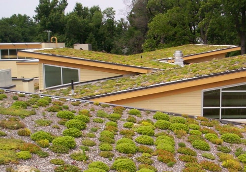 A Comprehensive Look at Vegetative Roofs for Home and Business